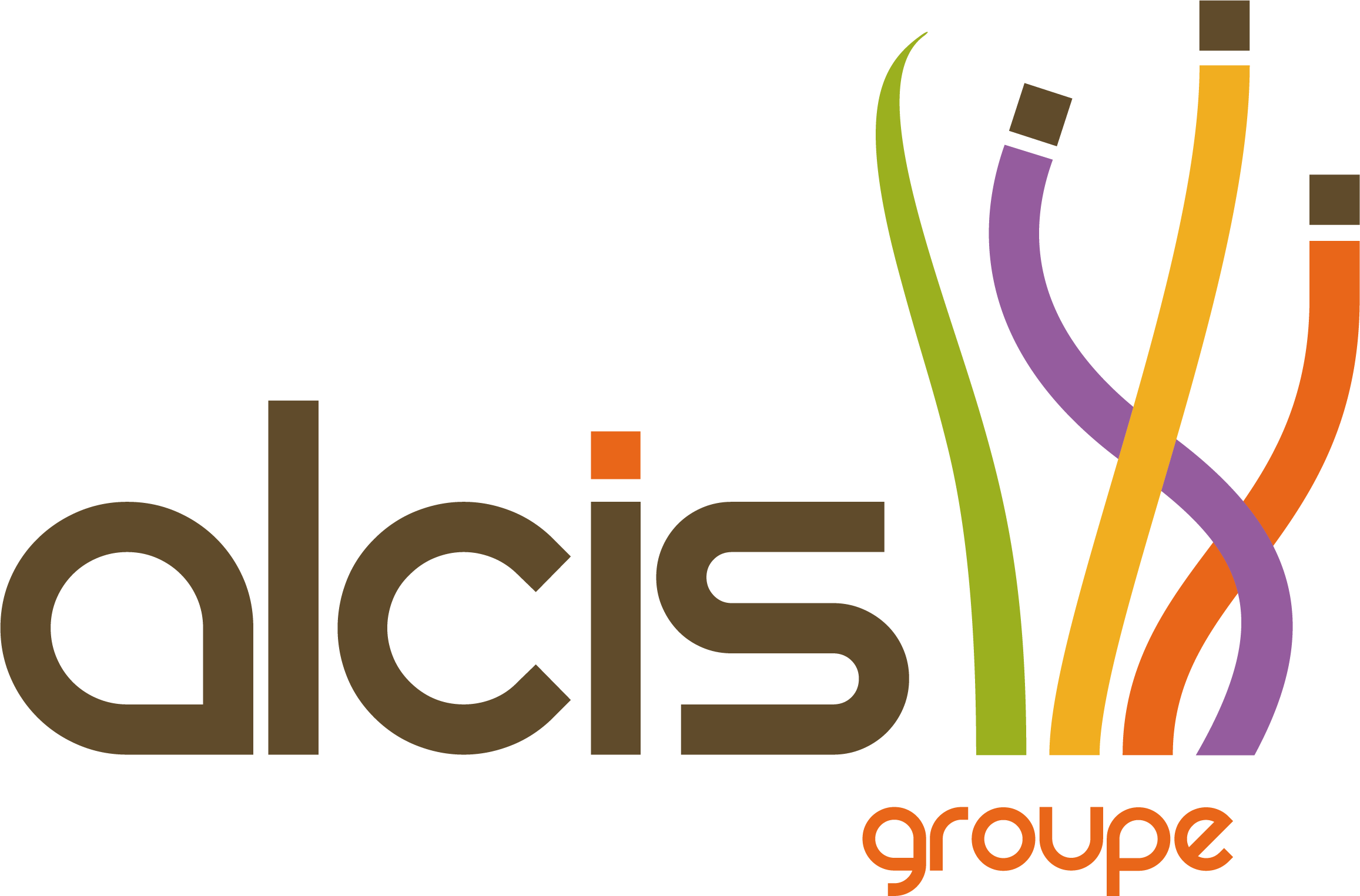 groupe Alcis